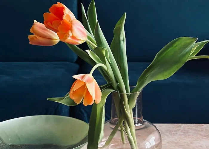 Appartamento The Golden Sunset Flat